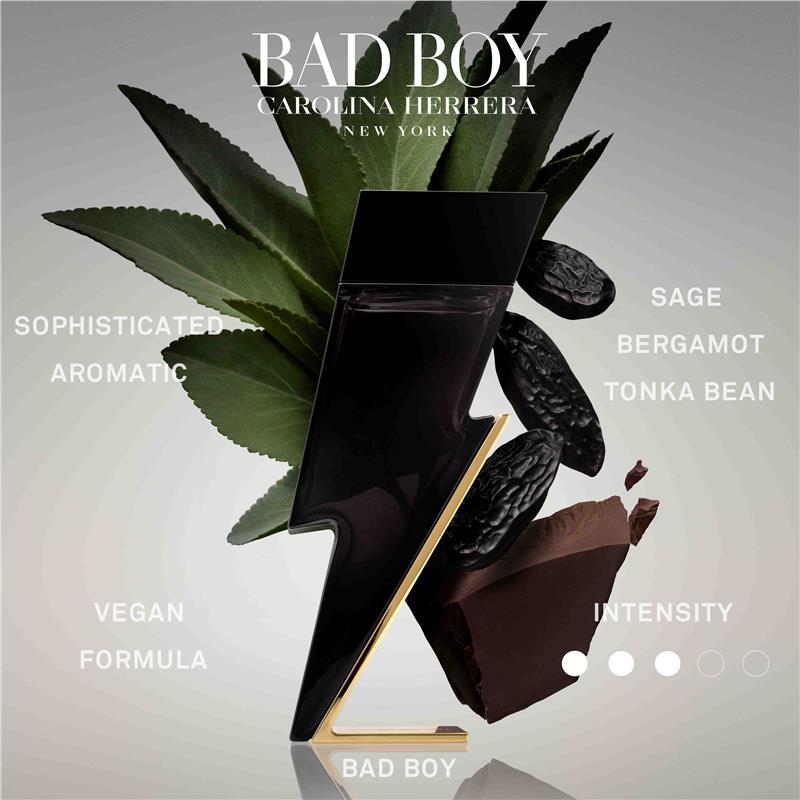 Carolina Herrera Bad Boy Eau De Toilette 100ml & Shower Gel 2 Piece Set